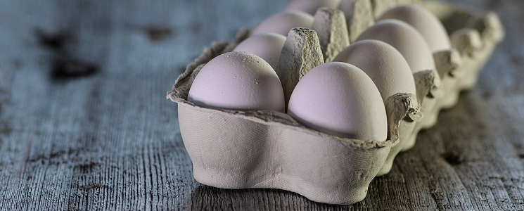 Eier