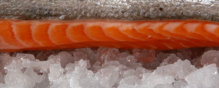 Frischfisch