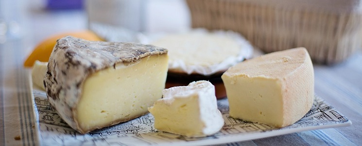Käse