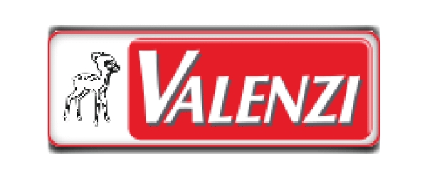 VALENZI GmbH.&Co.KG